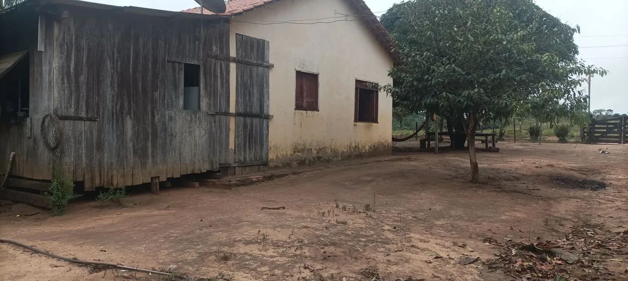 Colônia com 15 hectares - Foto 4