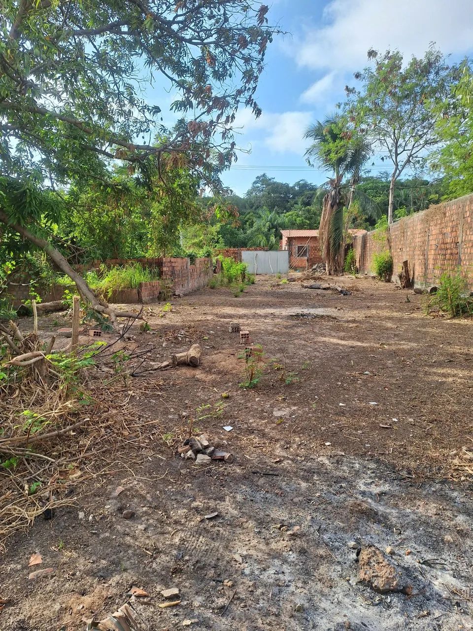 Terreno  - Foto 4
