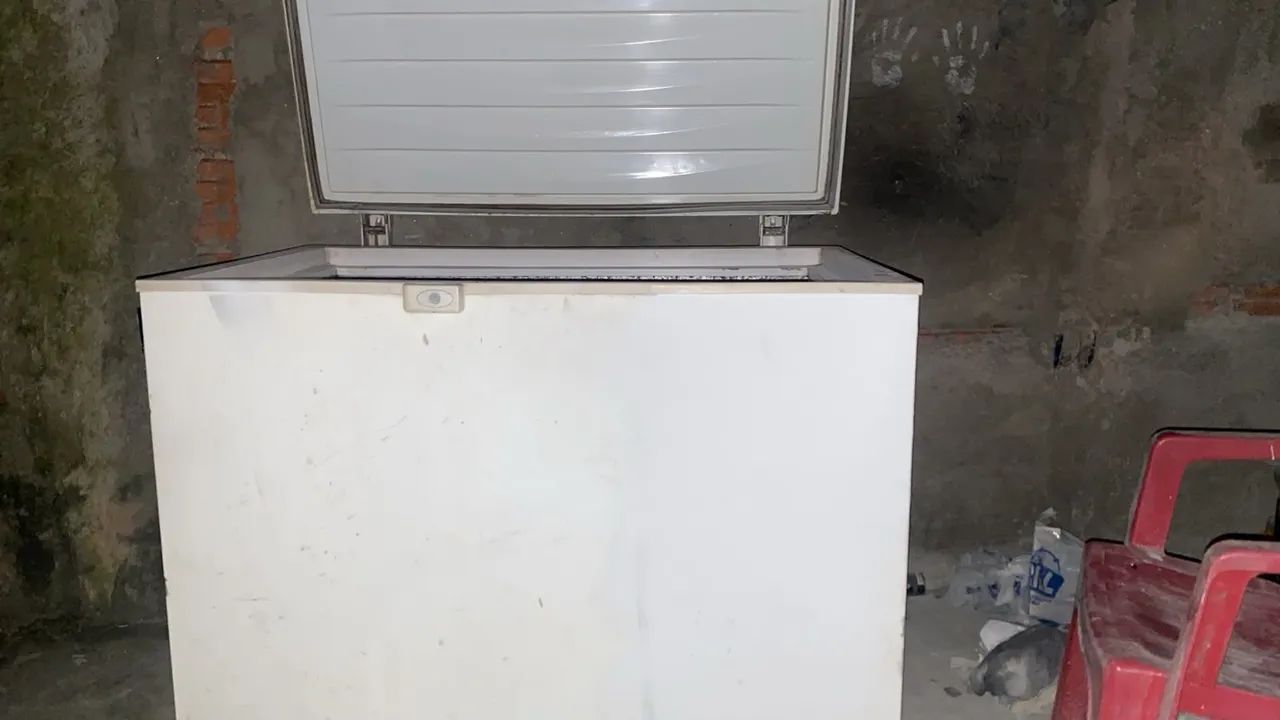 Freezer vertical 