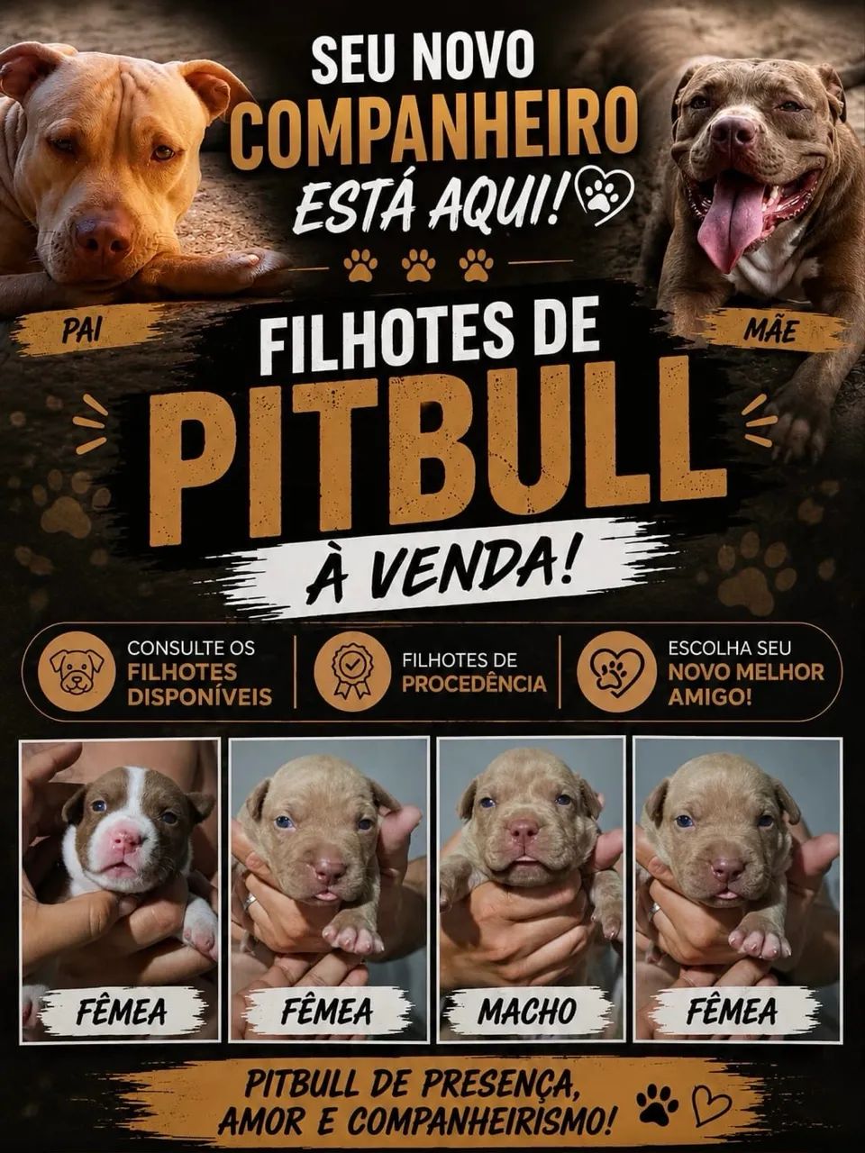 APBT a venda - Foto 3
