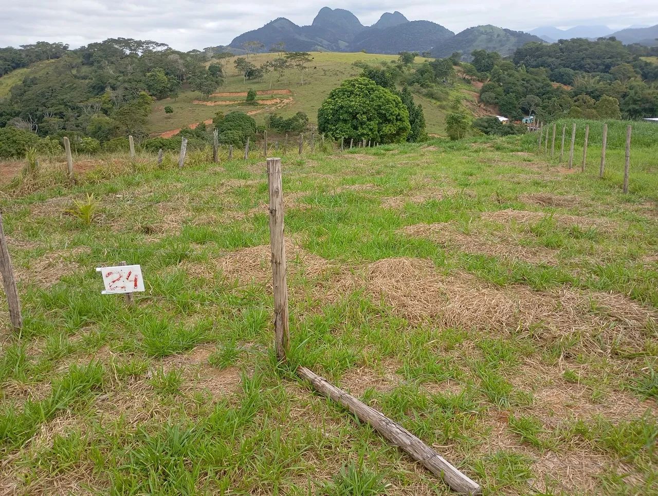 Vendendo 2 terrenos 