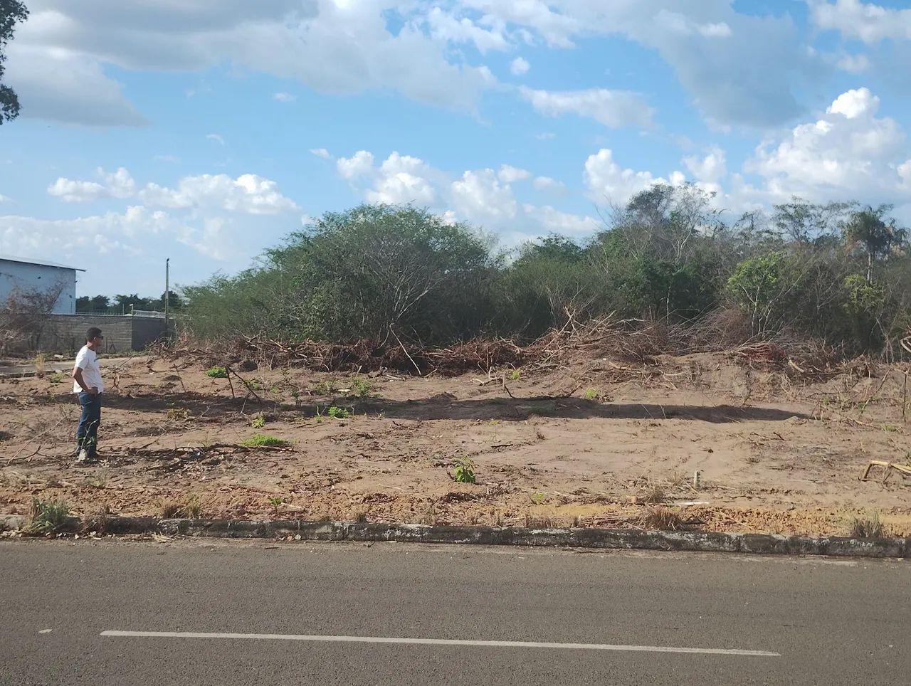 Foto - Teresina - Angélica