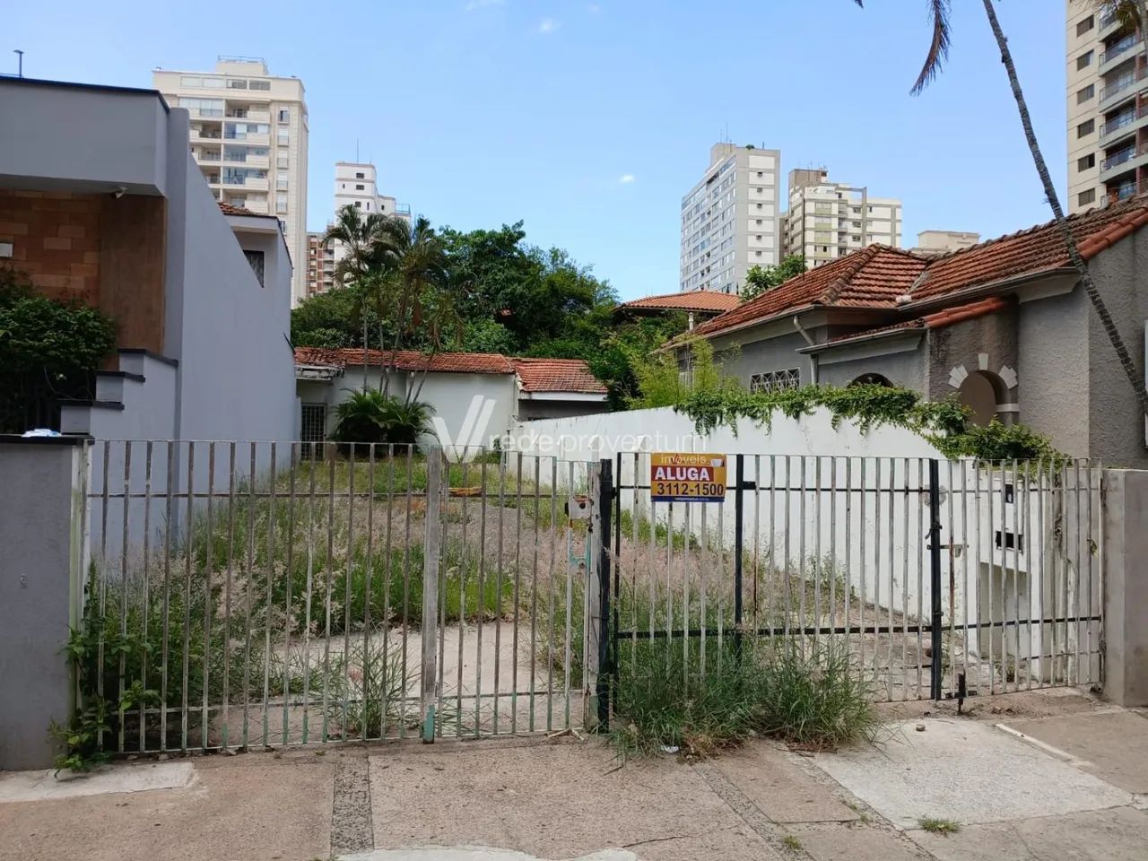 terreno - Cambuí - Campinas - Foto 5