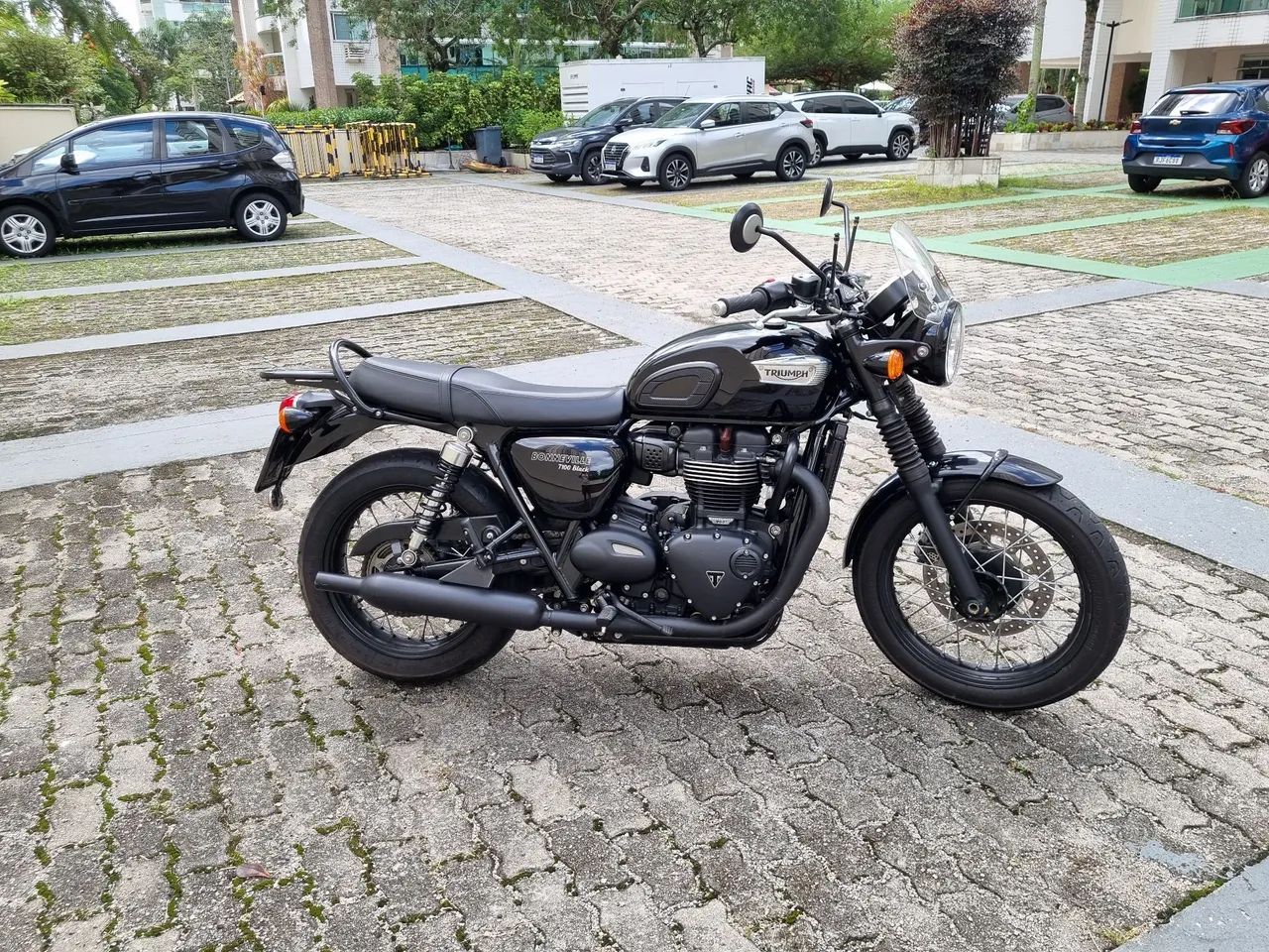 TRIUMPH T100