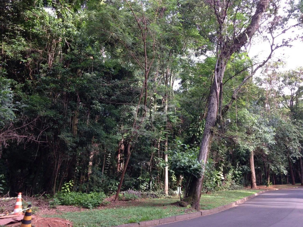 terreno - Parque Sao Quirino - Campinas - Foto 4