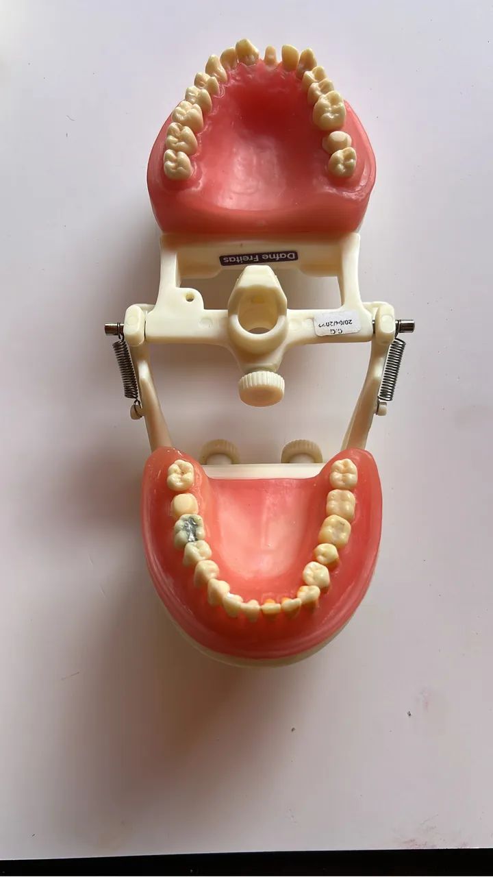manequim odontológico pronew - dentistica  - Foto 2