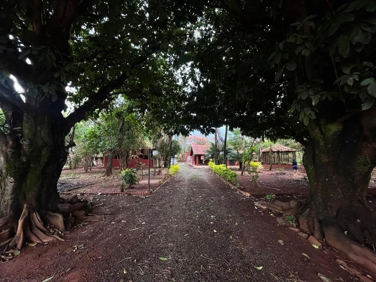 Foto - São José do Rio Preto - Bosque da Felicidade