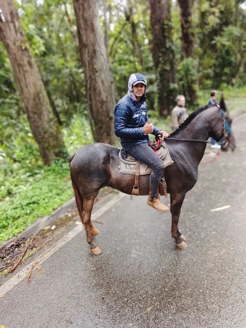 Égua manga larga marchador - Foto 2