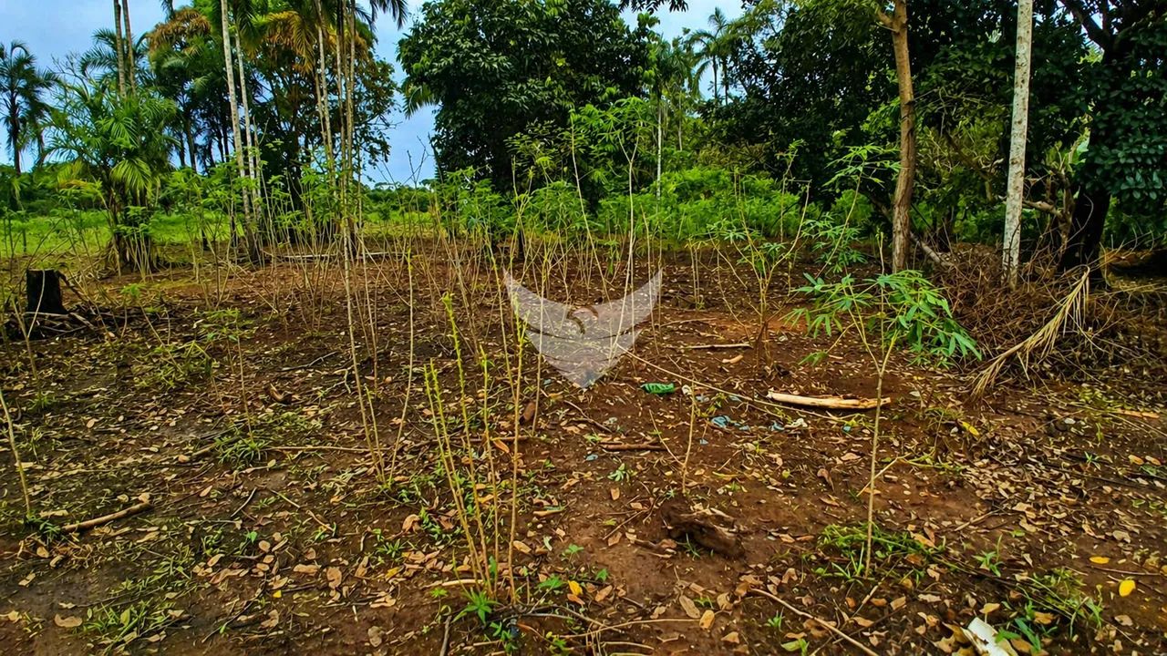 Chácara à Venda  Bairro Ronaldo Aragão - Foto 5