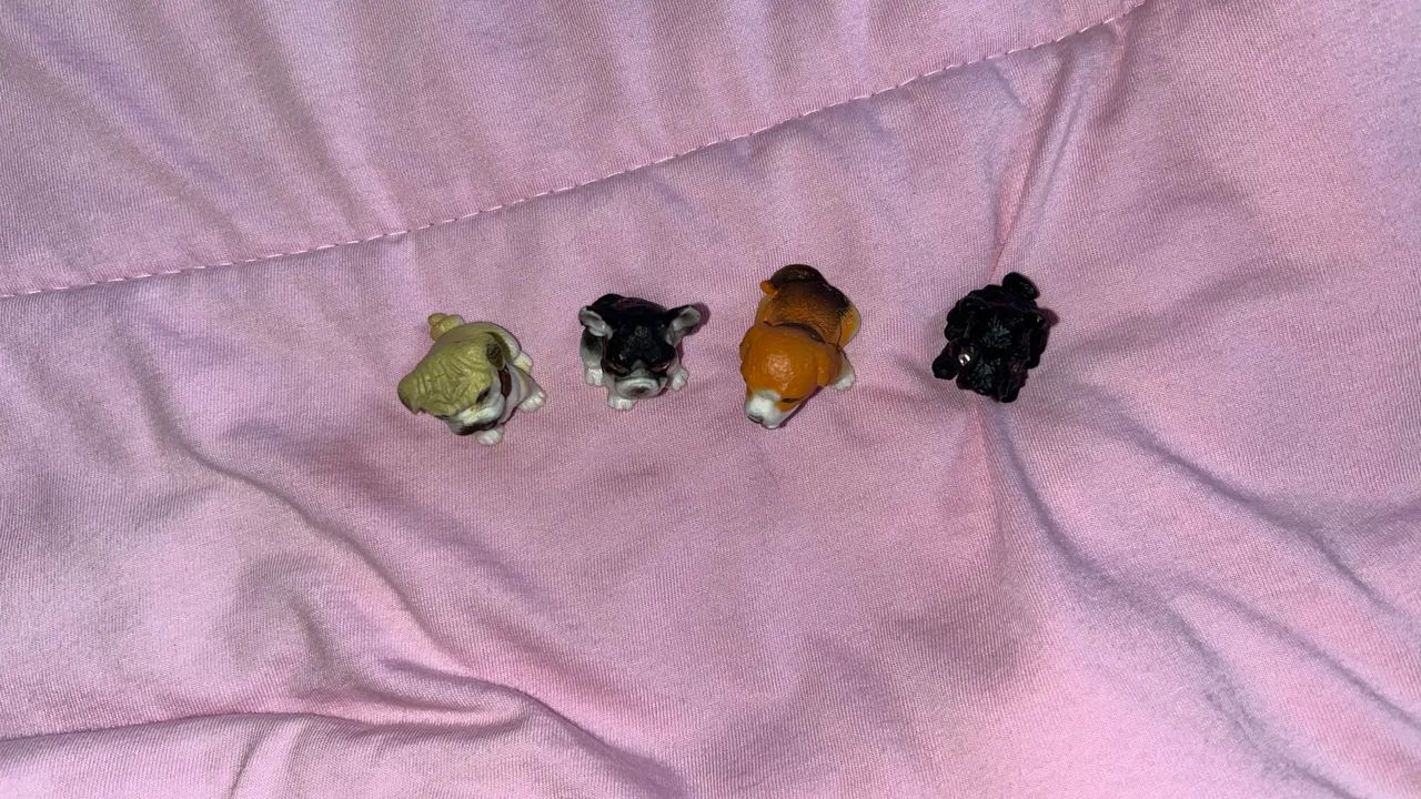 4 mini cachorros dtc - Foto 5