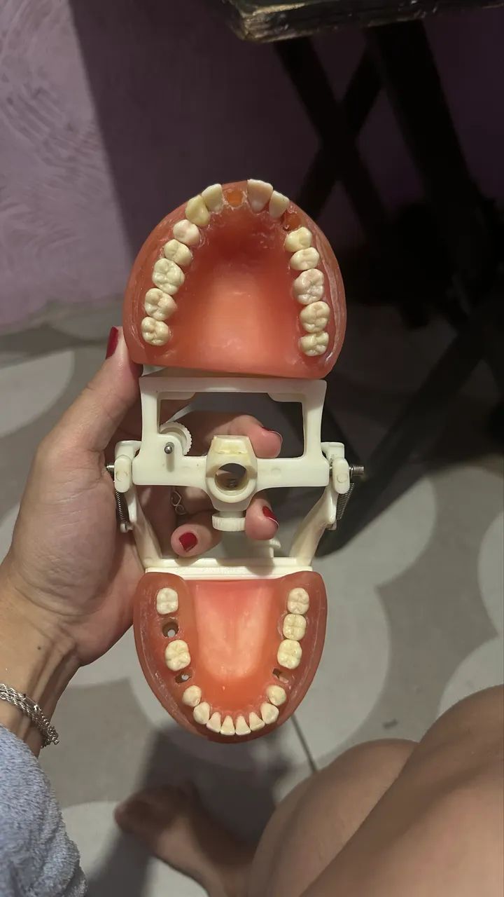 Manequim Dentistica pronew - Foto 4