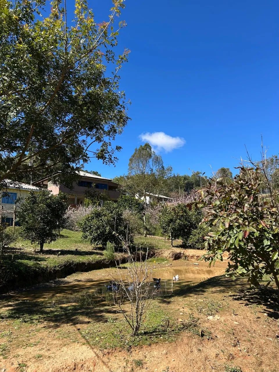 Chácara em contenda  - Foto 4