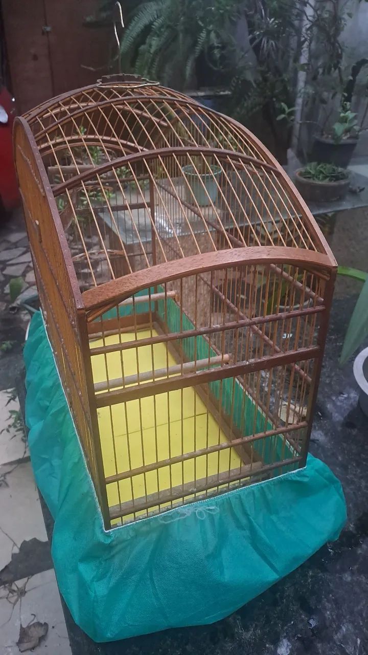 Gaiola Abaulada 65685576989313123