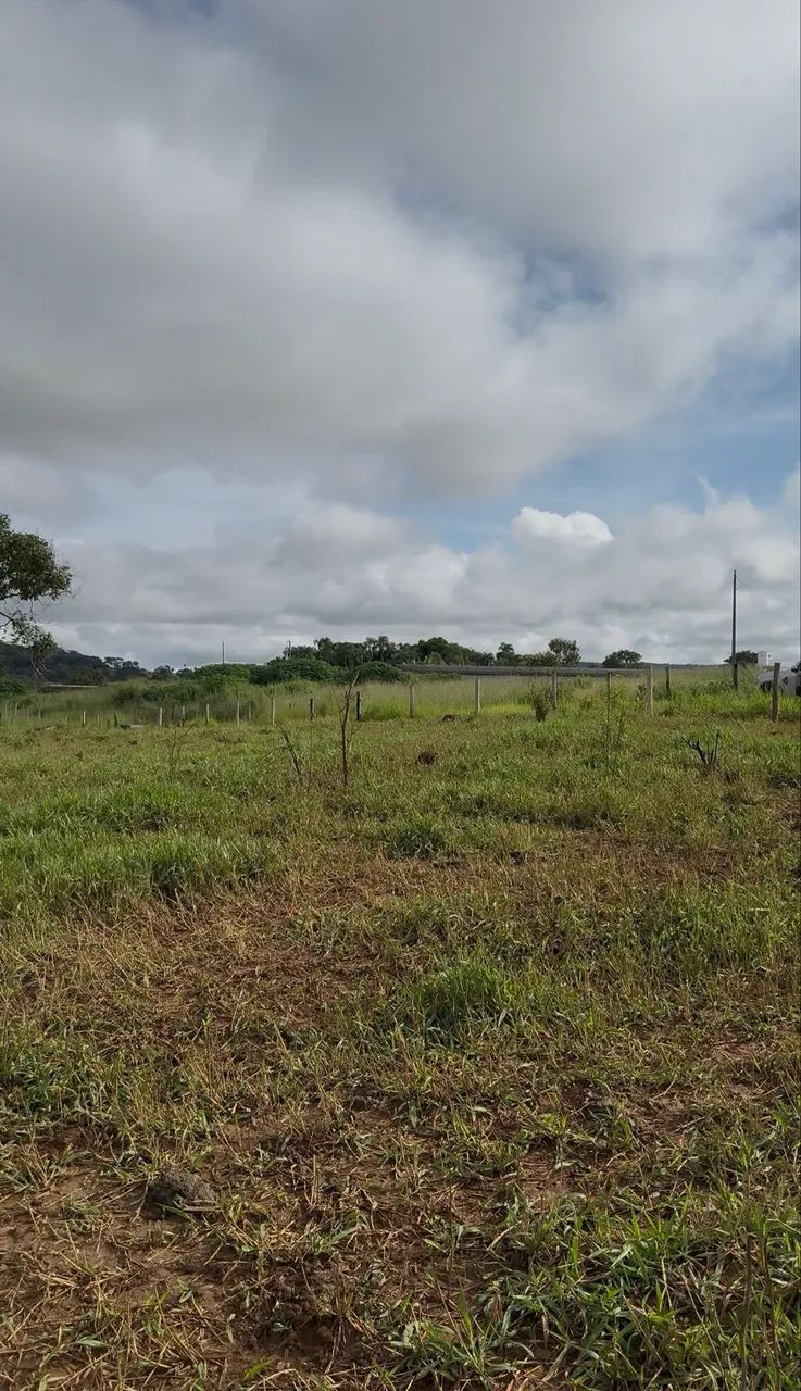 Chácara na beira do rio Uru em Itaberaí  - Foto 3