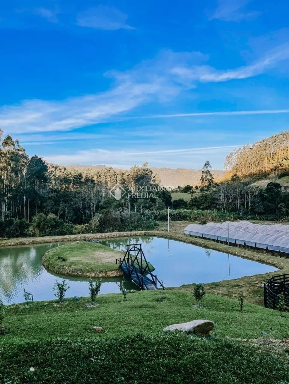 Fazenda porteira fechada com 50 hectares - Foto 3