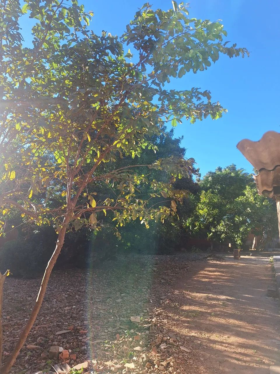 Terreno amplo em queimados  - Foto 2