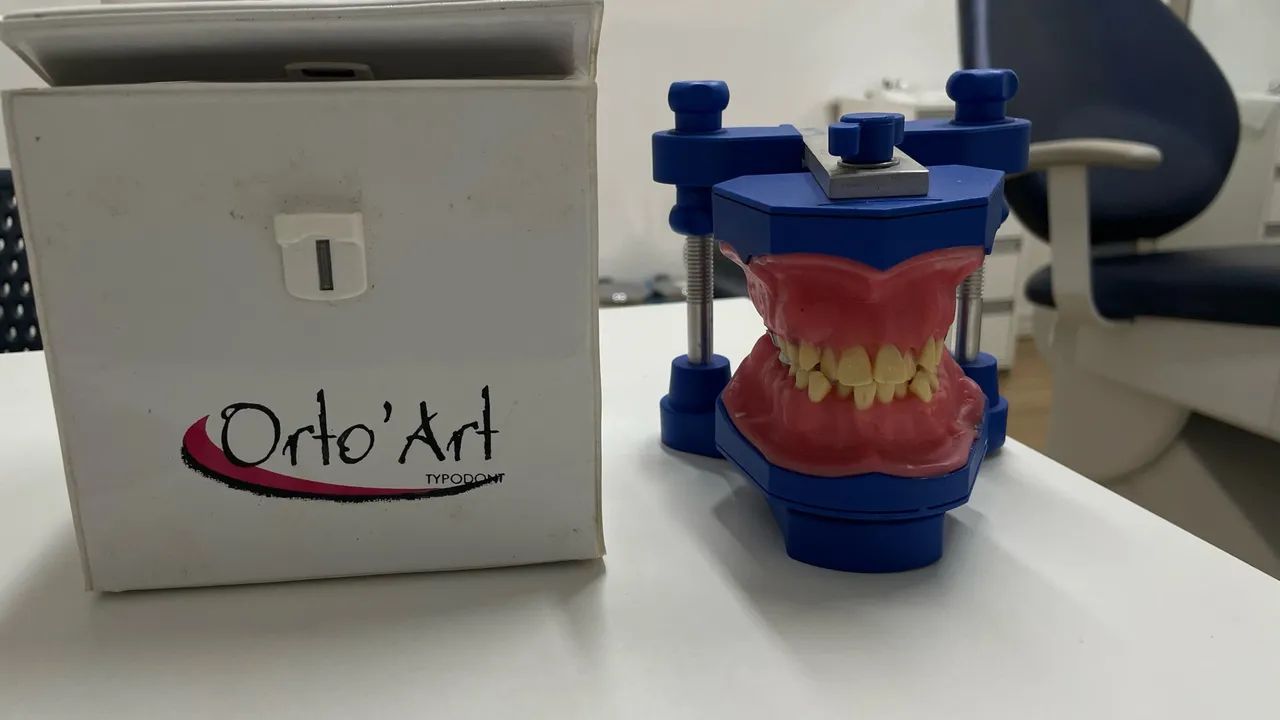 Typodont  - Foto 2