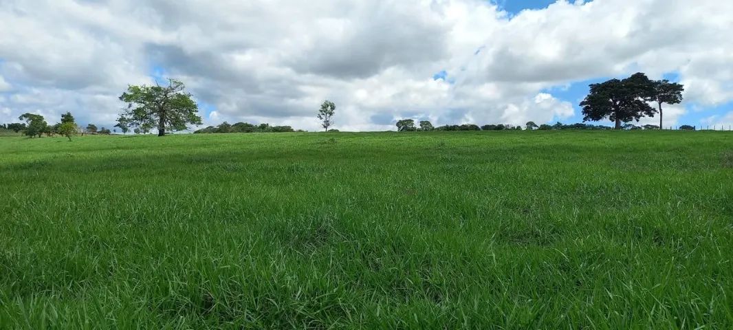 Foto - Goiânia - Setor Central