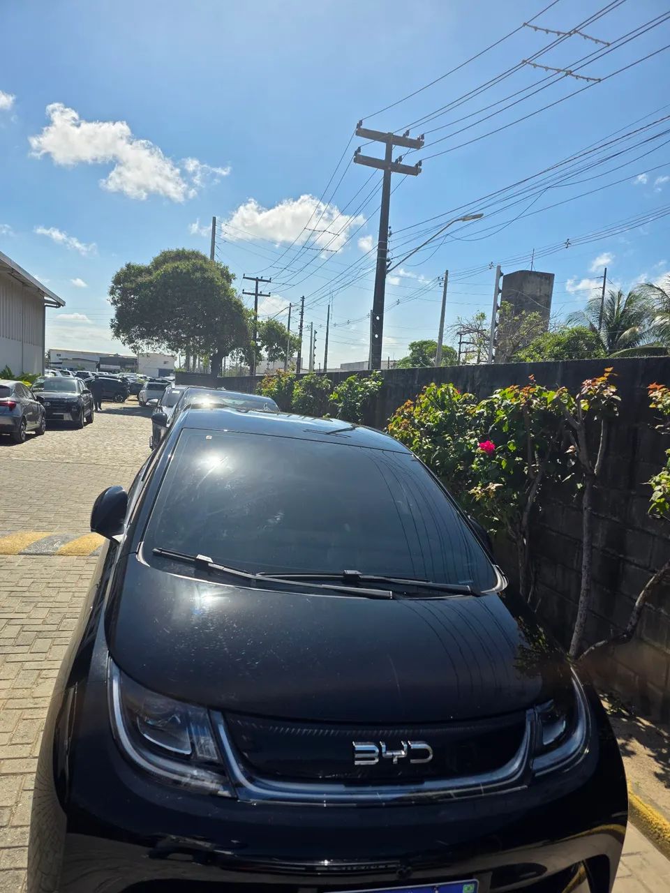 BYD Dolphin EV (Elétrico) 2027 - Foto 2
