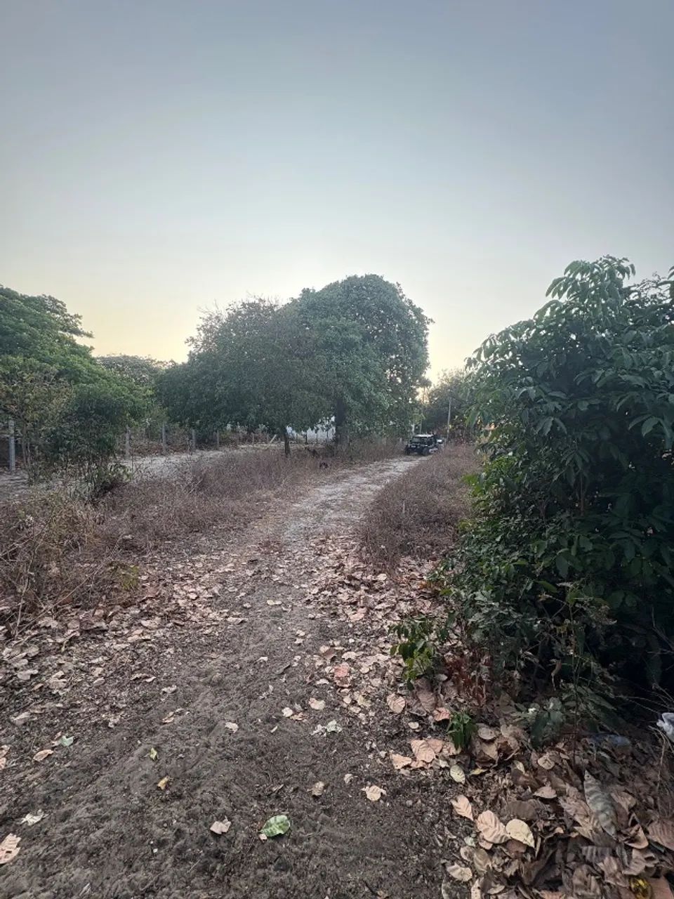 Terreno 480m Morro Branco - Beberibe - Foto 2