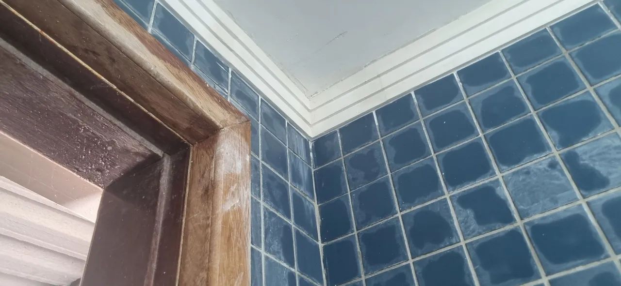 Gesso em geral  - Foto 4