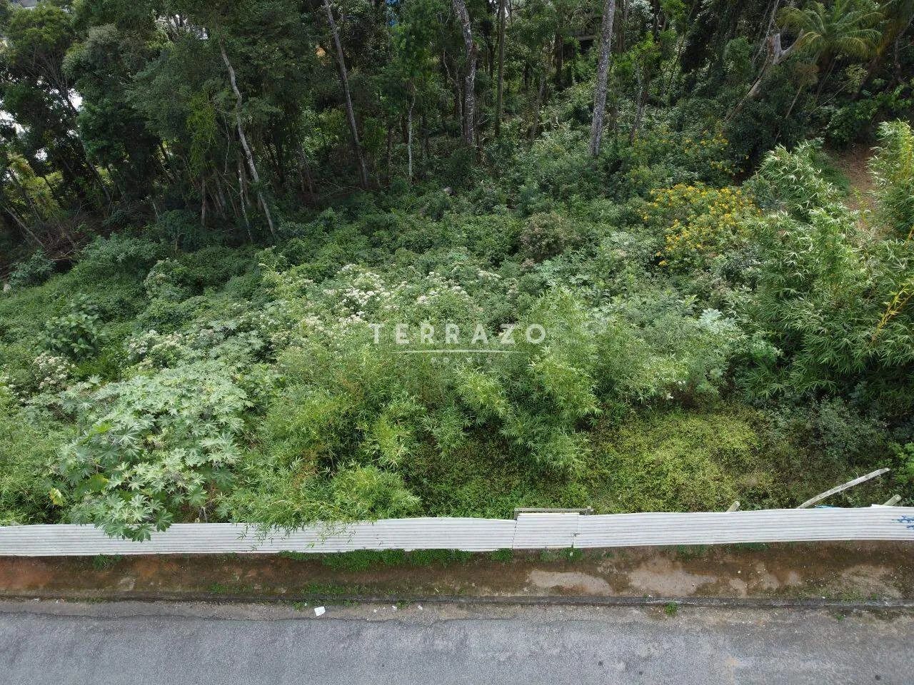 Terreno à venda, Várzea - Teresópolis/RJ - Foto 4