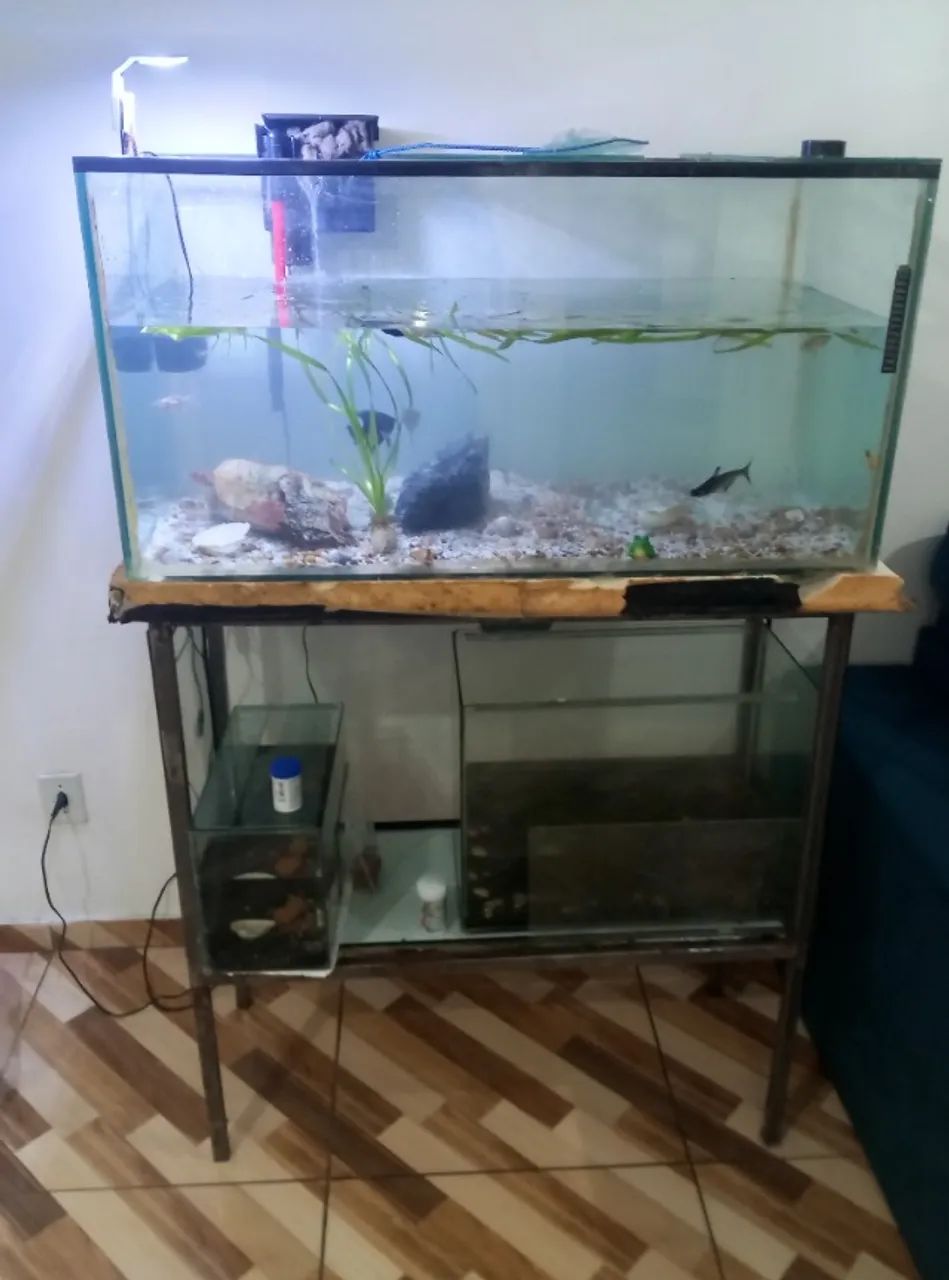 Aquários, suporte, filtro e bomba de oxigênio  - Foto 2