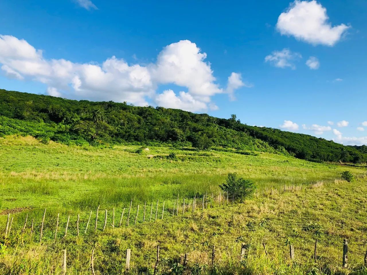 62 hectares a venda - Foto 2