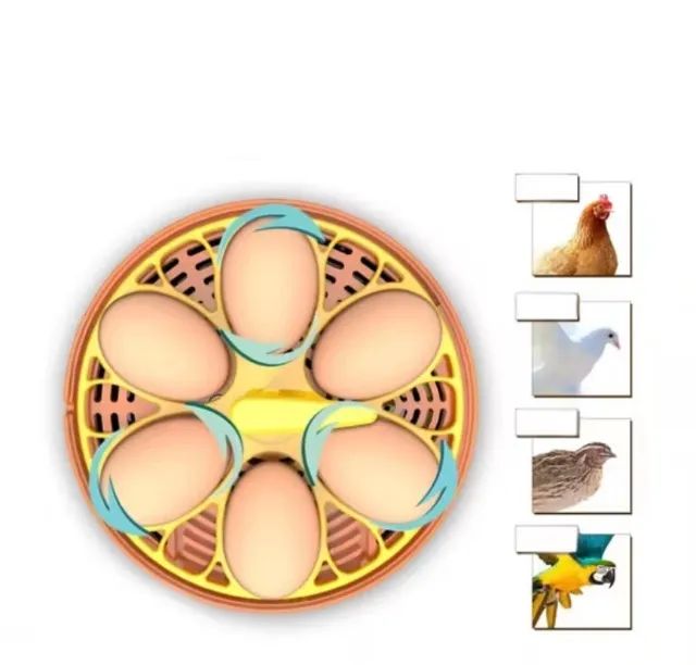 Chocadeira automática  - Foto 2