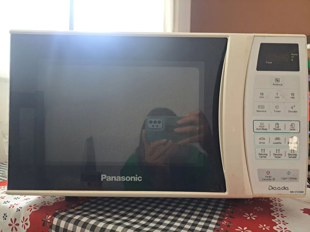 Microondas Panasonic + ferro de passar roupa 