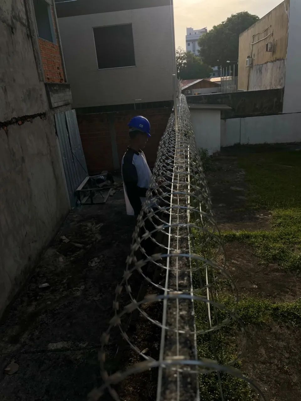 Cerca elétrica e ouriço - Foto 3