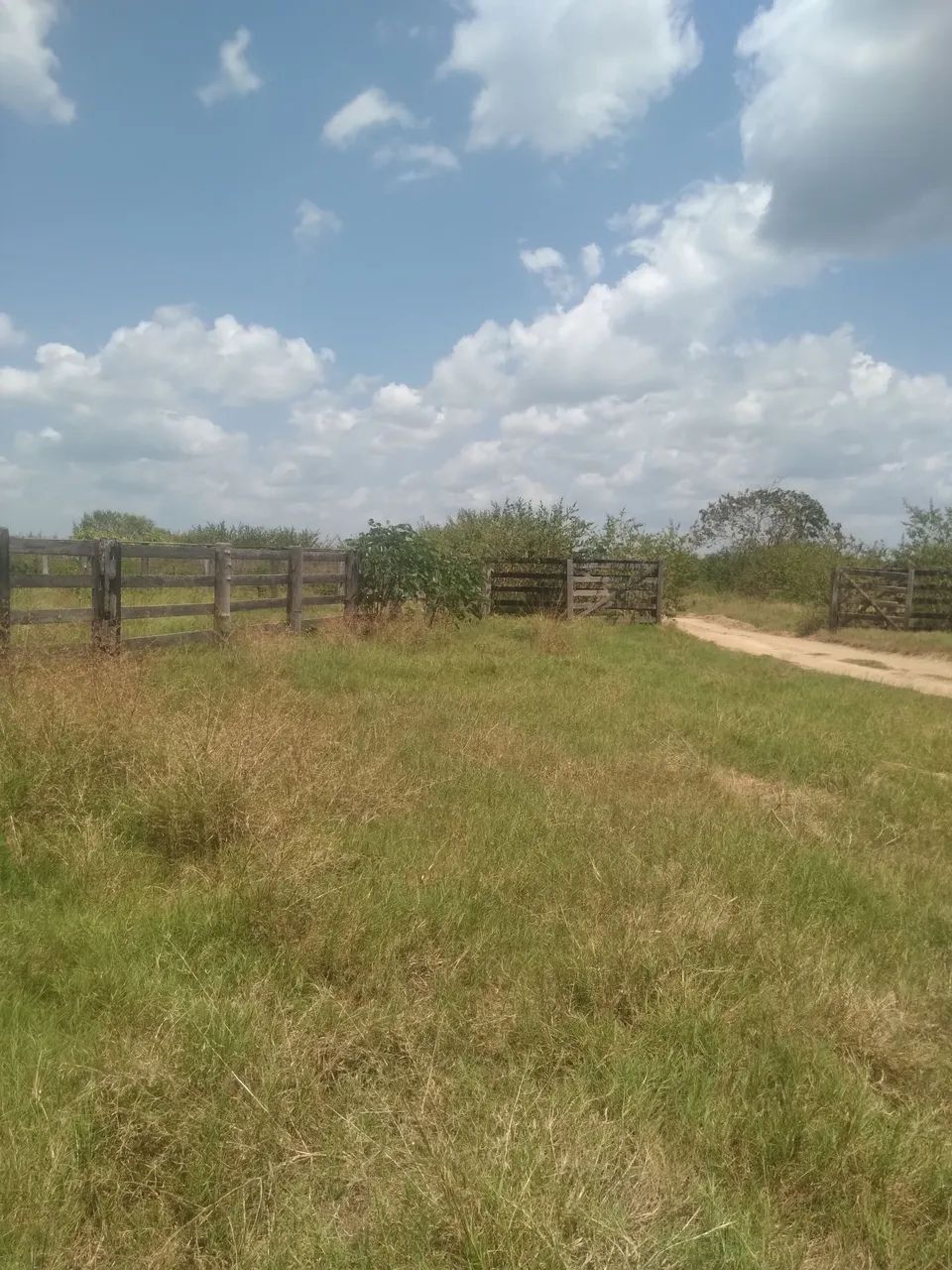 Fazenda
