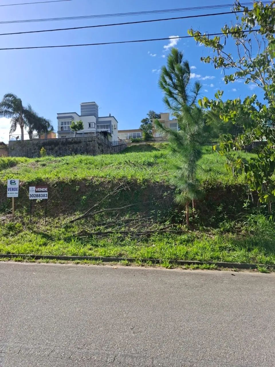 Terreno para Venda em Palhoça, Pedra Branca - Foto 4