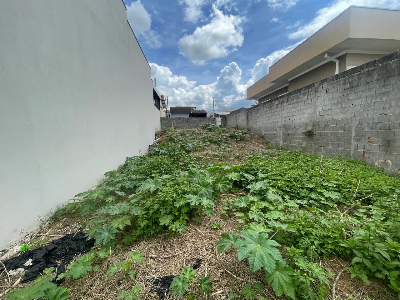 Foto - Atibaia - Conjunto Habitacional José Barnet Y Vives