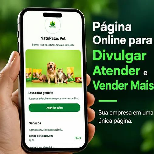 Página Online para Divulgar, Atender e Vender Mais