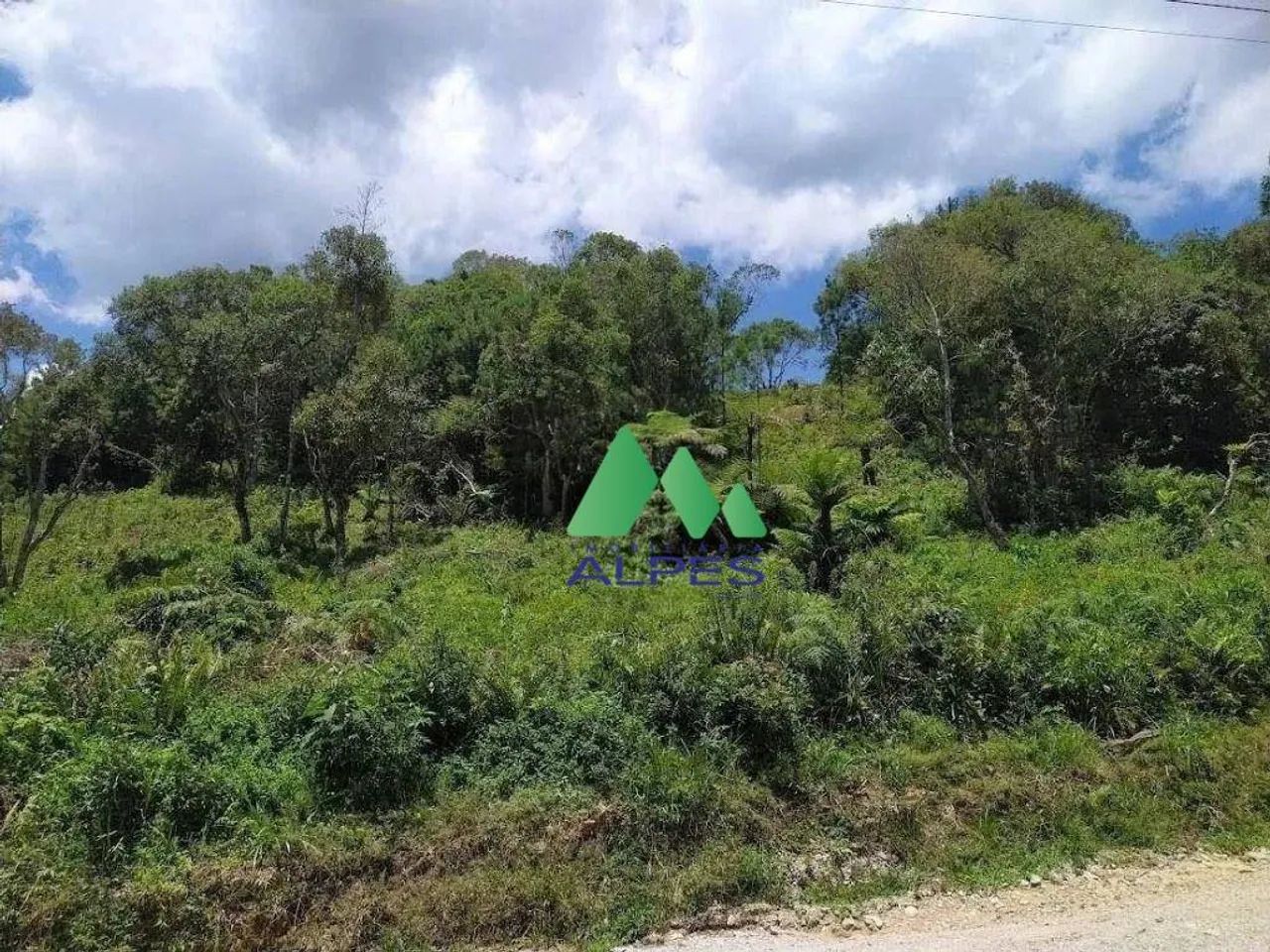 Chácara com Água e Próximo a BR 376 em Tijucas do Sul - Foto 5
