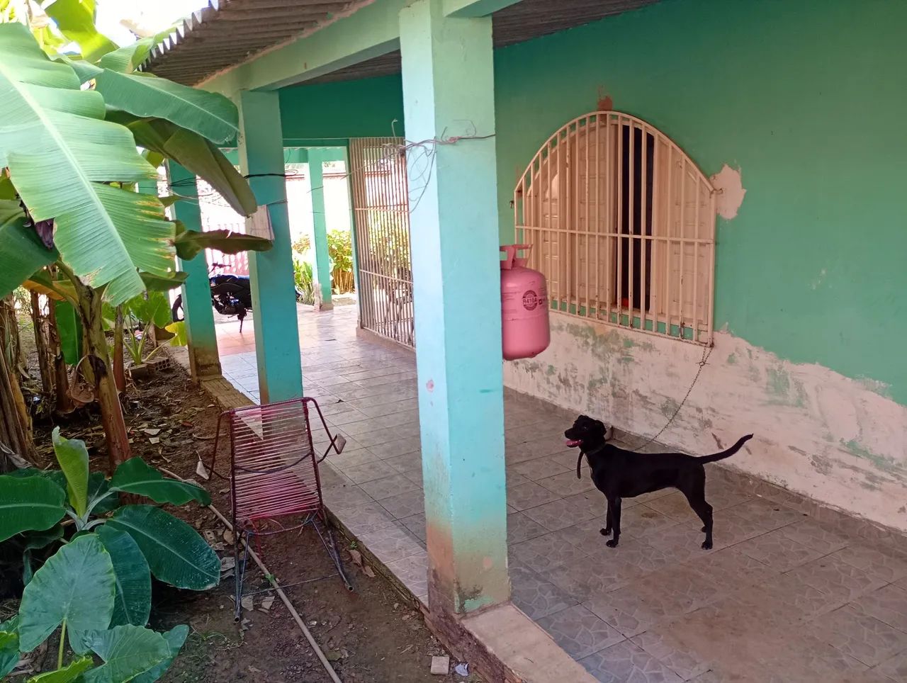 Casa vendo .