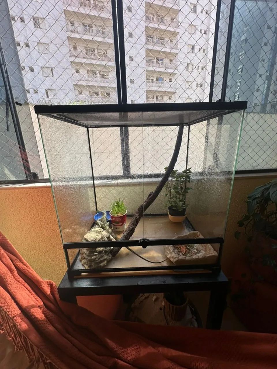 Terrario para reptil iguana - Foto 3