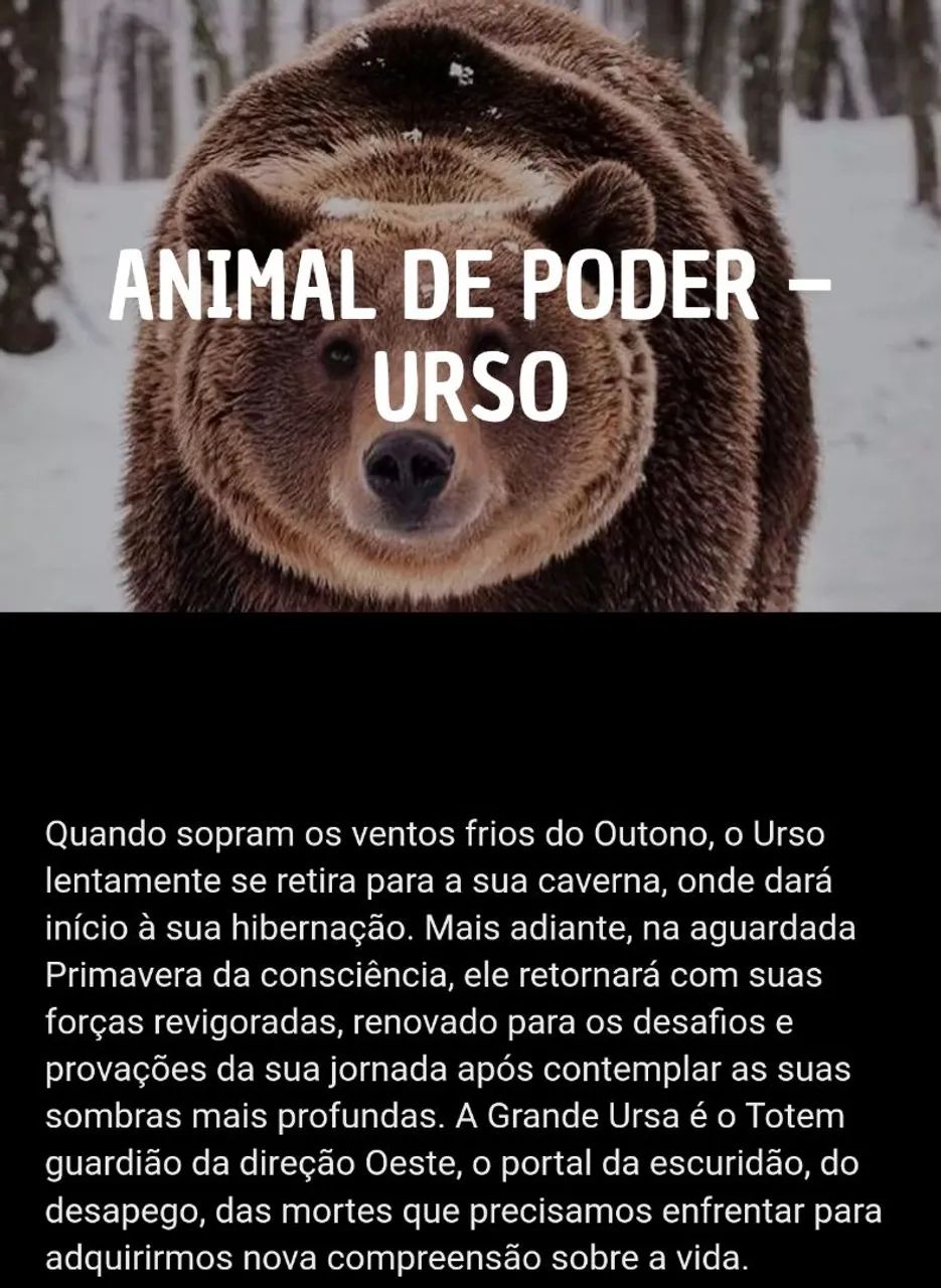 Kuripe Artesanal, animal de poder URSO  - Foto 2
