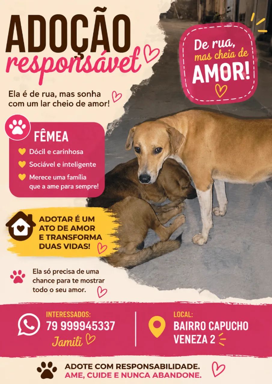Cachorro adoção  - Foto 4