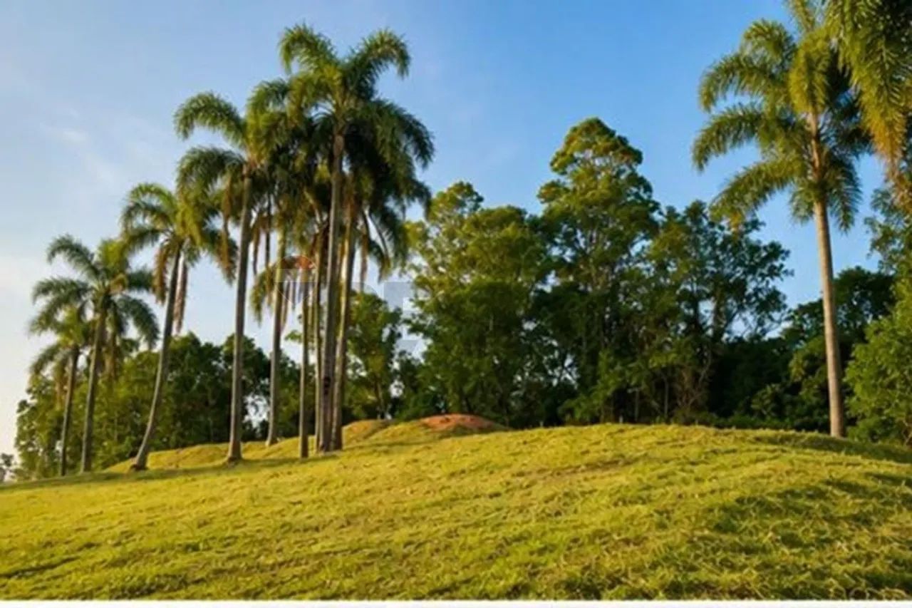 Oportunidade Imperdível em Garibaldi - Foto 3