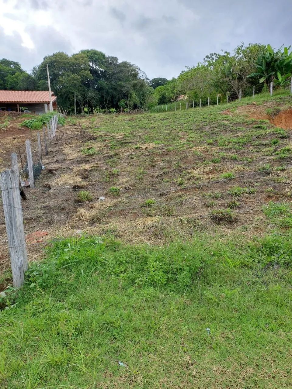 Foto - São Paulo - Cidade Patriarca