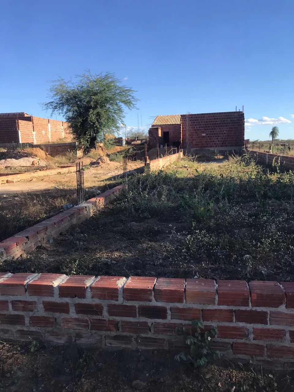 Vendo um terreno no bairro de ipsep/ Ouricuri-PE: celular * - Foto 2