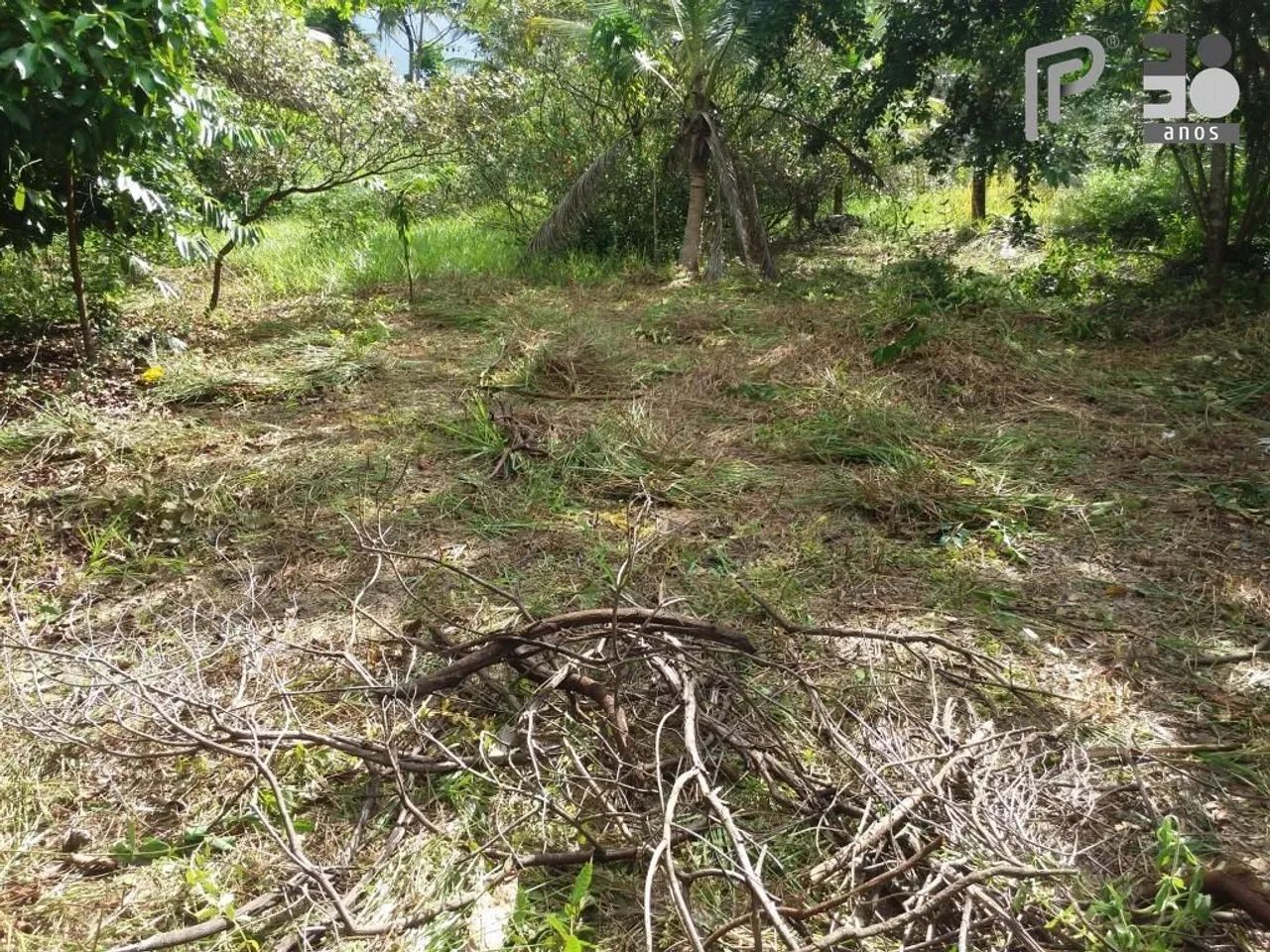 Sitio em São Jose de Ribamar - Foto 2
