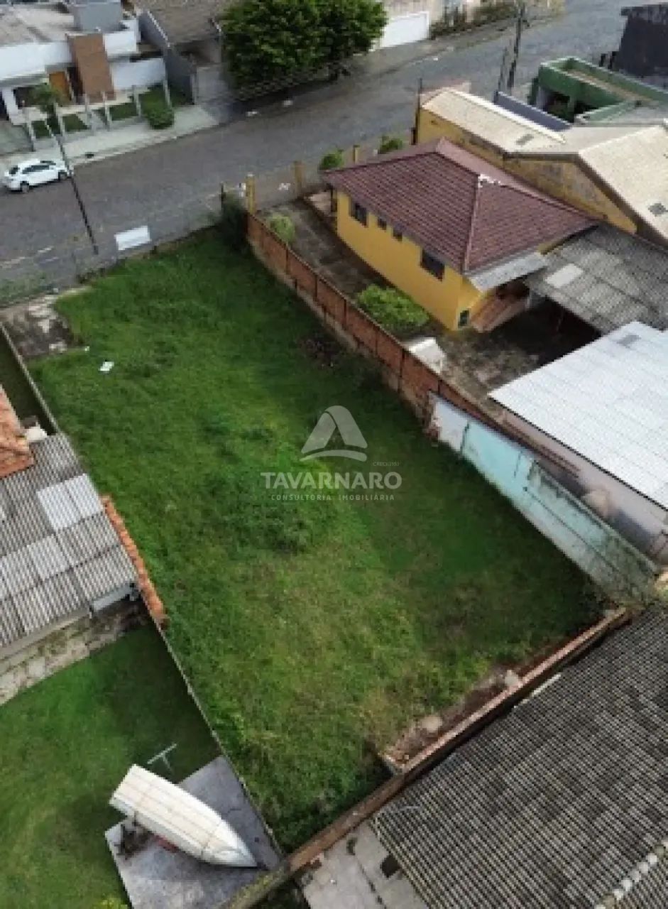 Terreno no Jardim Carvalho - Foto 3