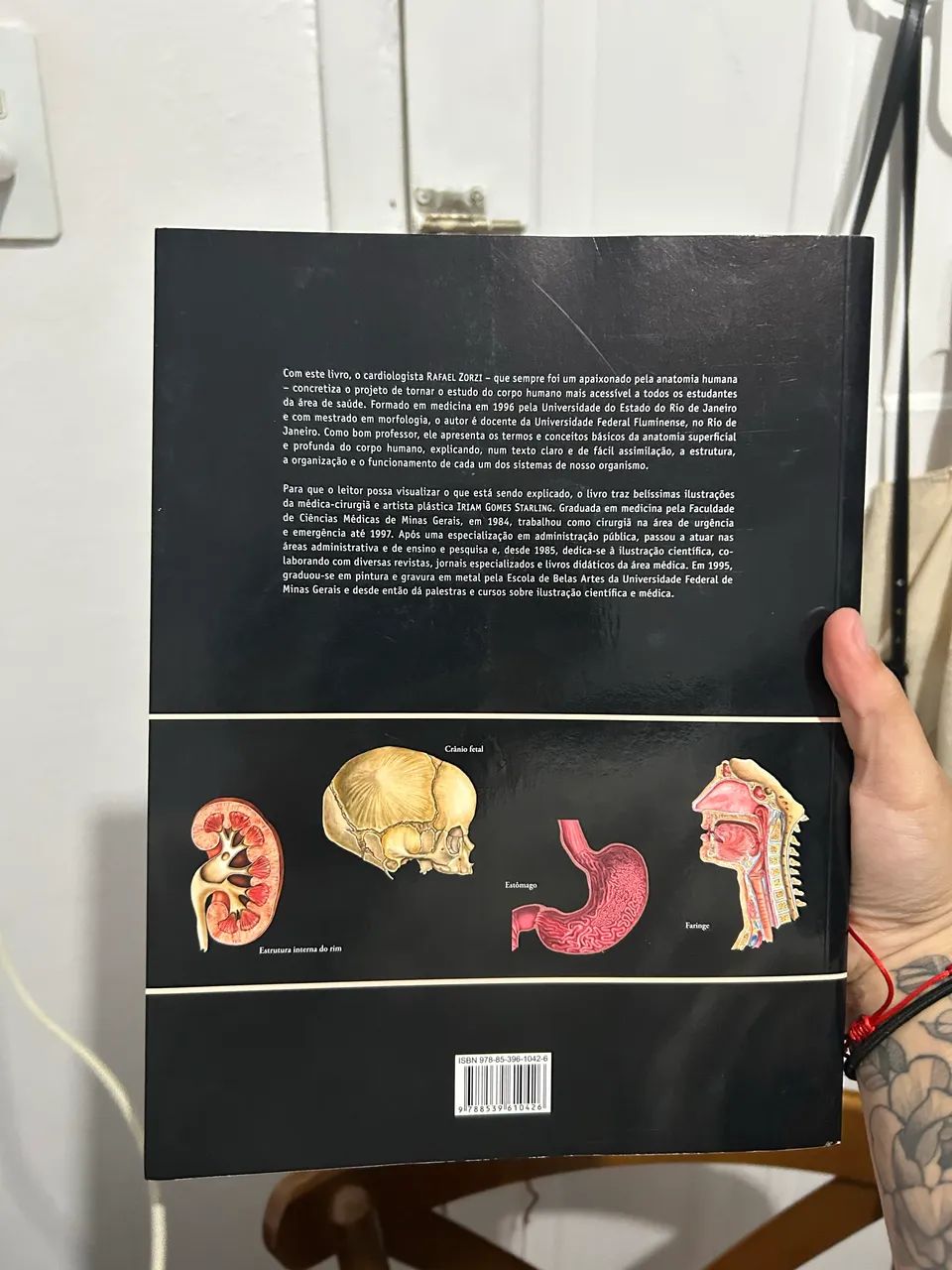 livro corpo humano órgãos sistemas e funcionamento - Foto 2