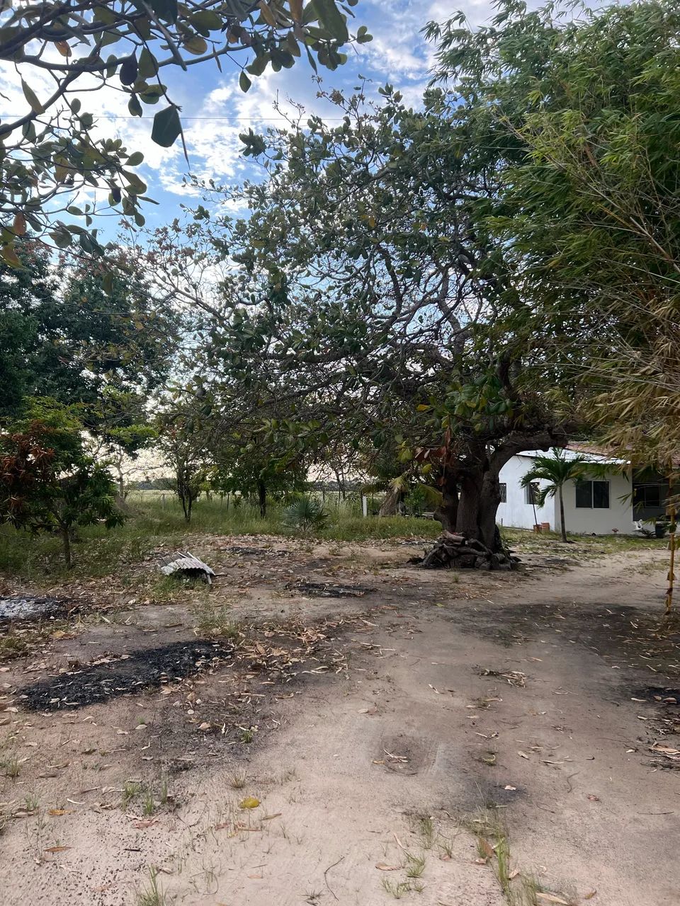 Sítio no Bom Intento  - Foto 2