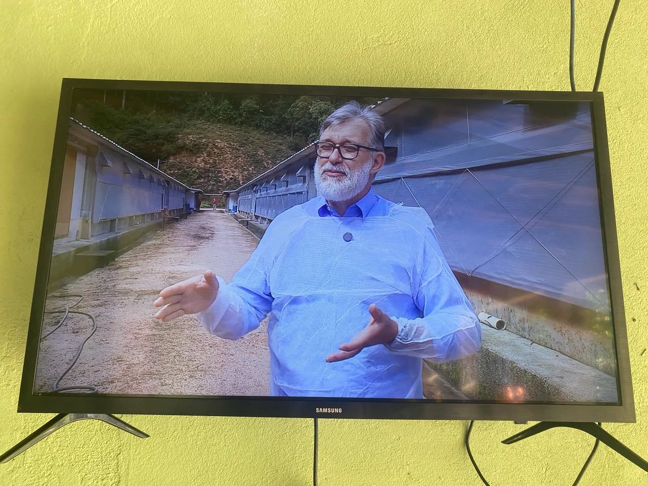 Tv Samsung 32 polegadas smart