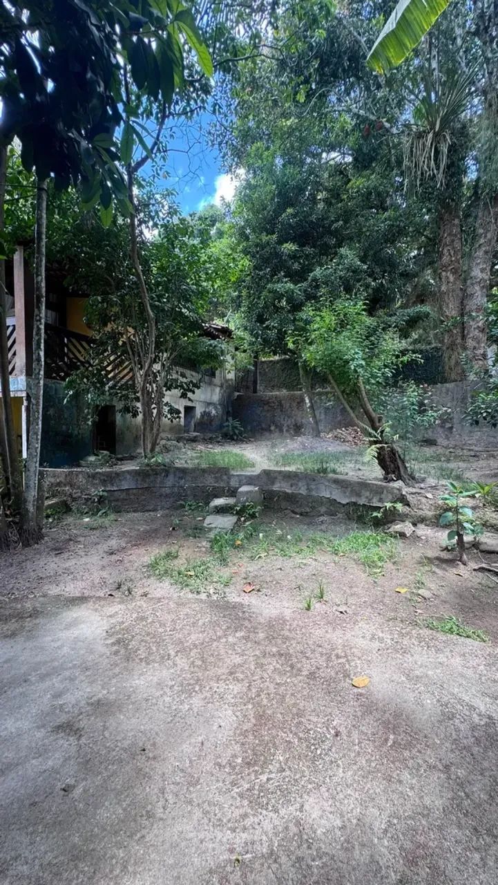 Vendo sítio em Fernão Velho - Foto 3