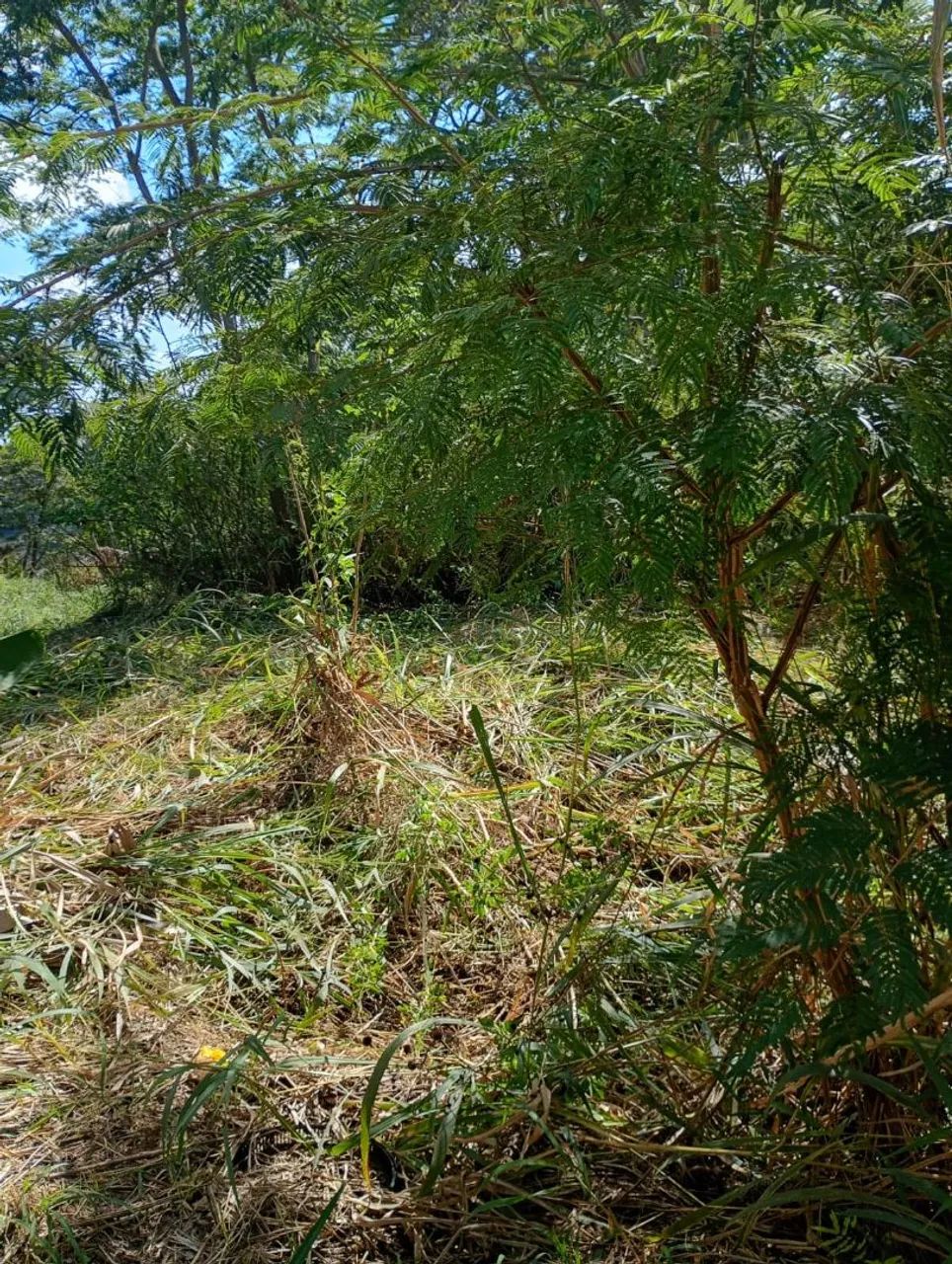 Terreno em Vargem Alegre  - Foto 2